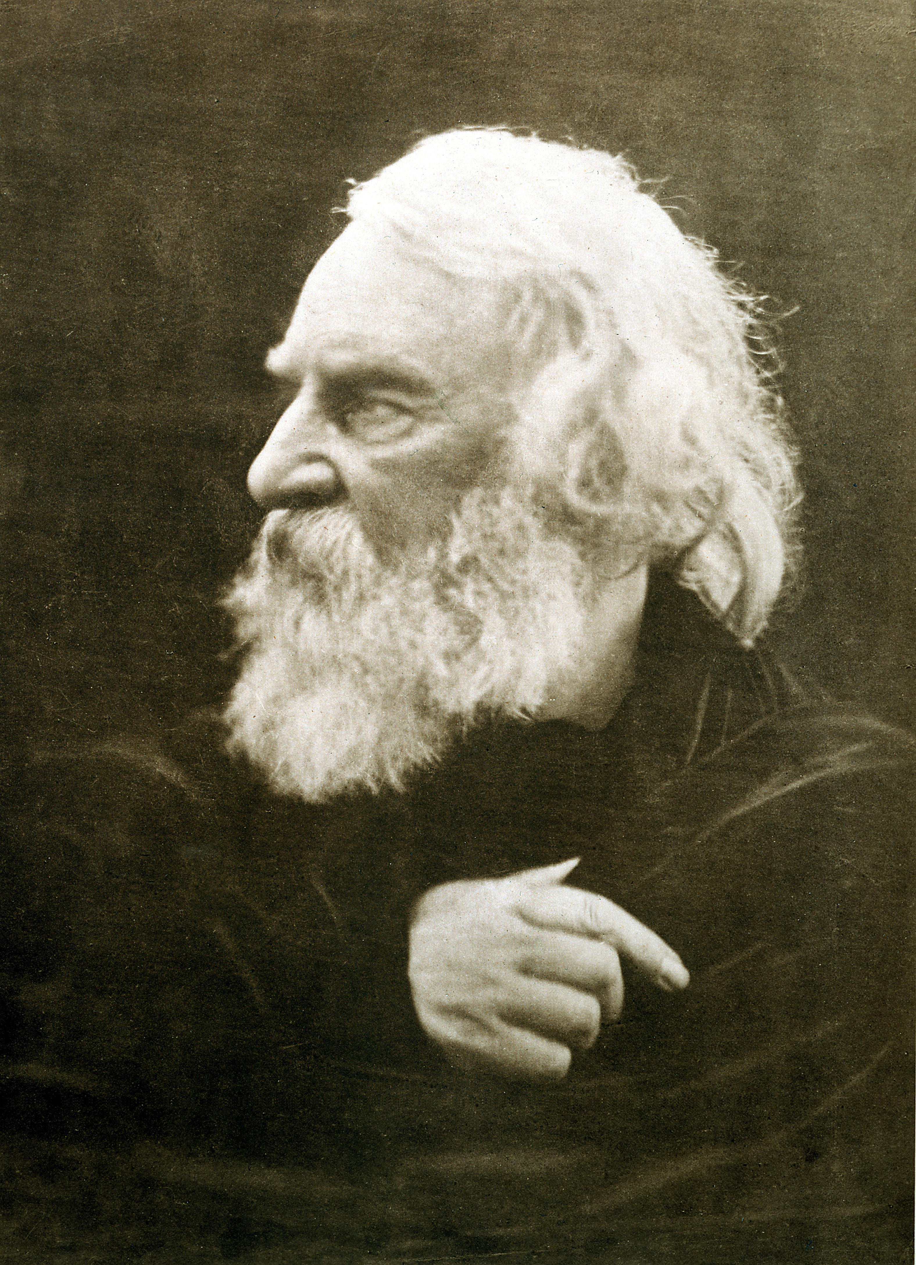 Portrait by [[Julia Margaret Cameron]], 1868