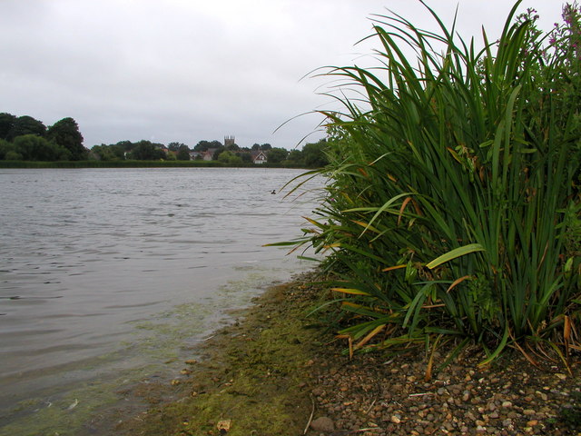 File:Hornsea Mere - geograph.org.uk - 351743.jpg