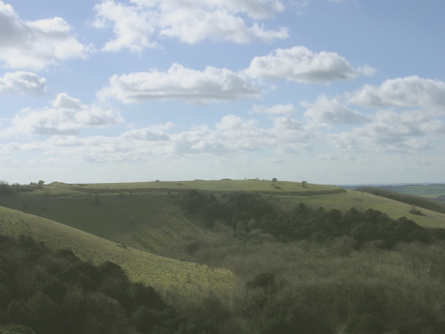 File:Iron age hillfort on Old Winchester Hill - geograph.org.uk - 24985.jpg