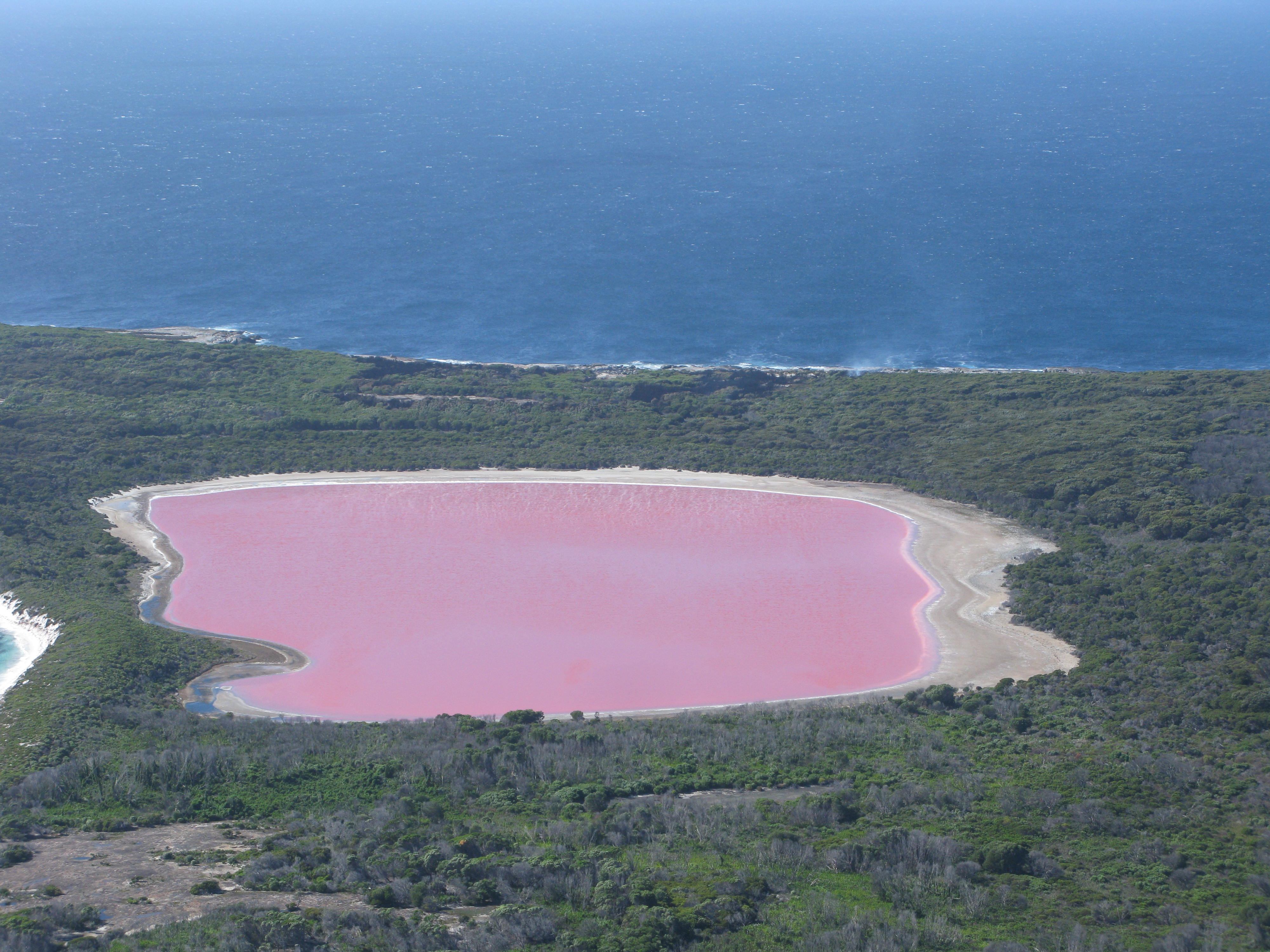 Lake Hillier- Most surreal places to visit