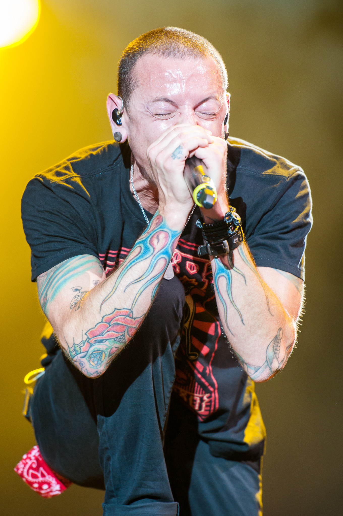 File:Linkin Park-Rock im Park 2014- by 2eight 3SC0566.jpg - Wikipedia