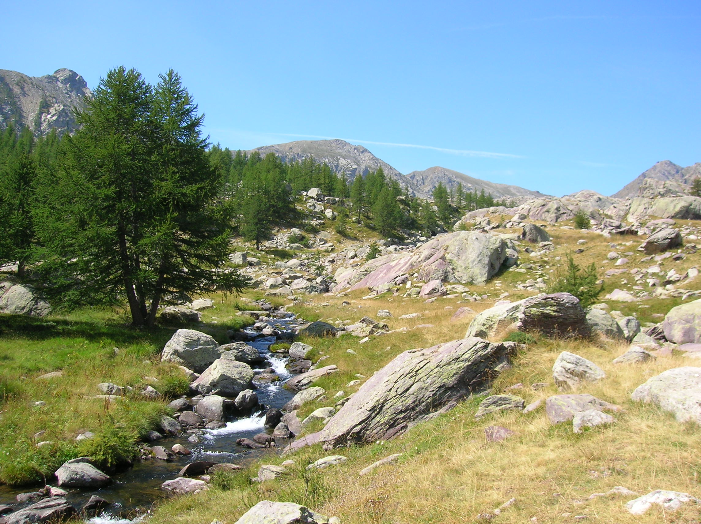 Vallee des. Parc National du Mercantour. Парк Меркантур Долина чудес. Парк Меркантур фауна.