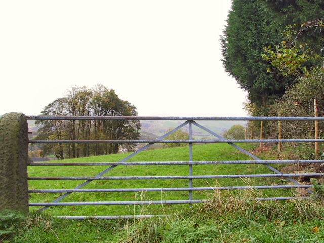 File:Pasture below King's Haigh - geograph.org.uk - 74034.jpg