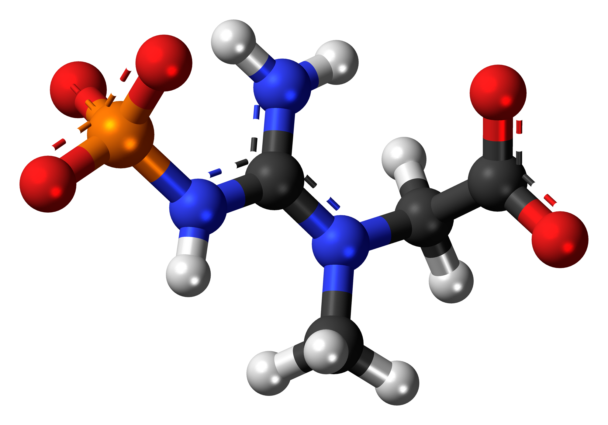 Chemistry balling. Фосфокреатин молекула. Аминокислоты иконка. Молекула оснований. Молекулы кислот на белом фоне.