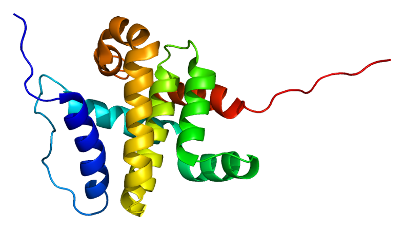 File:Protein BCL2L2 PDB 1mk3.png