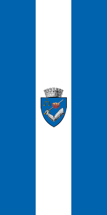 File:ROU MS Targu Mures Flag.gif