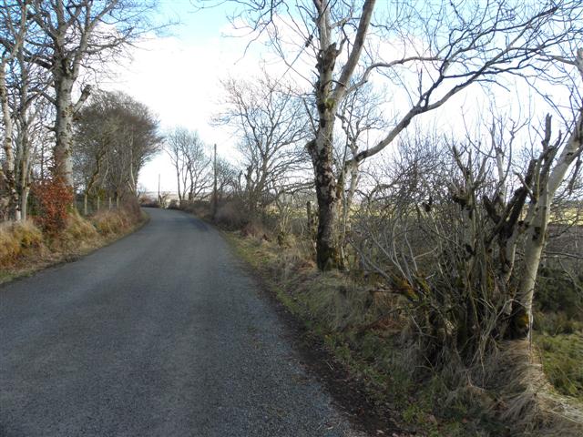 File:Road at Magheravail - geograph.org.uk - 1771674.jpg