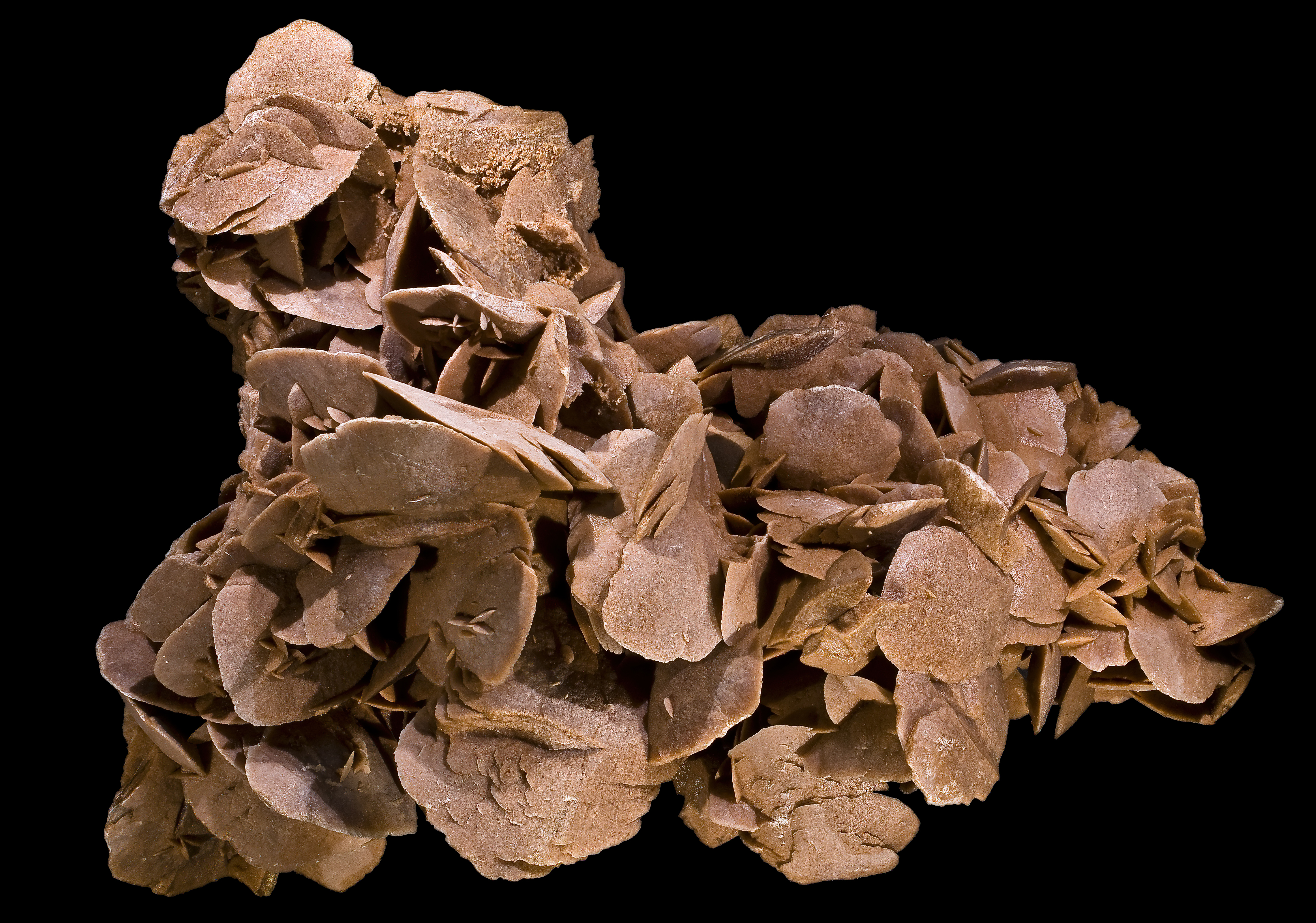 Desert Rose: Meaning, Healing Properties, and Powers