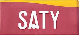 File:SATY logo.jpg