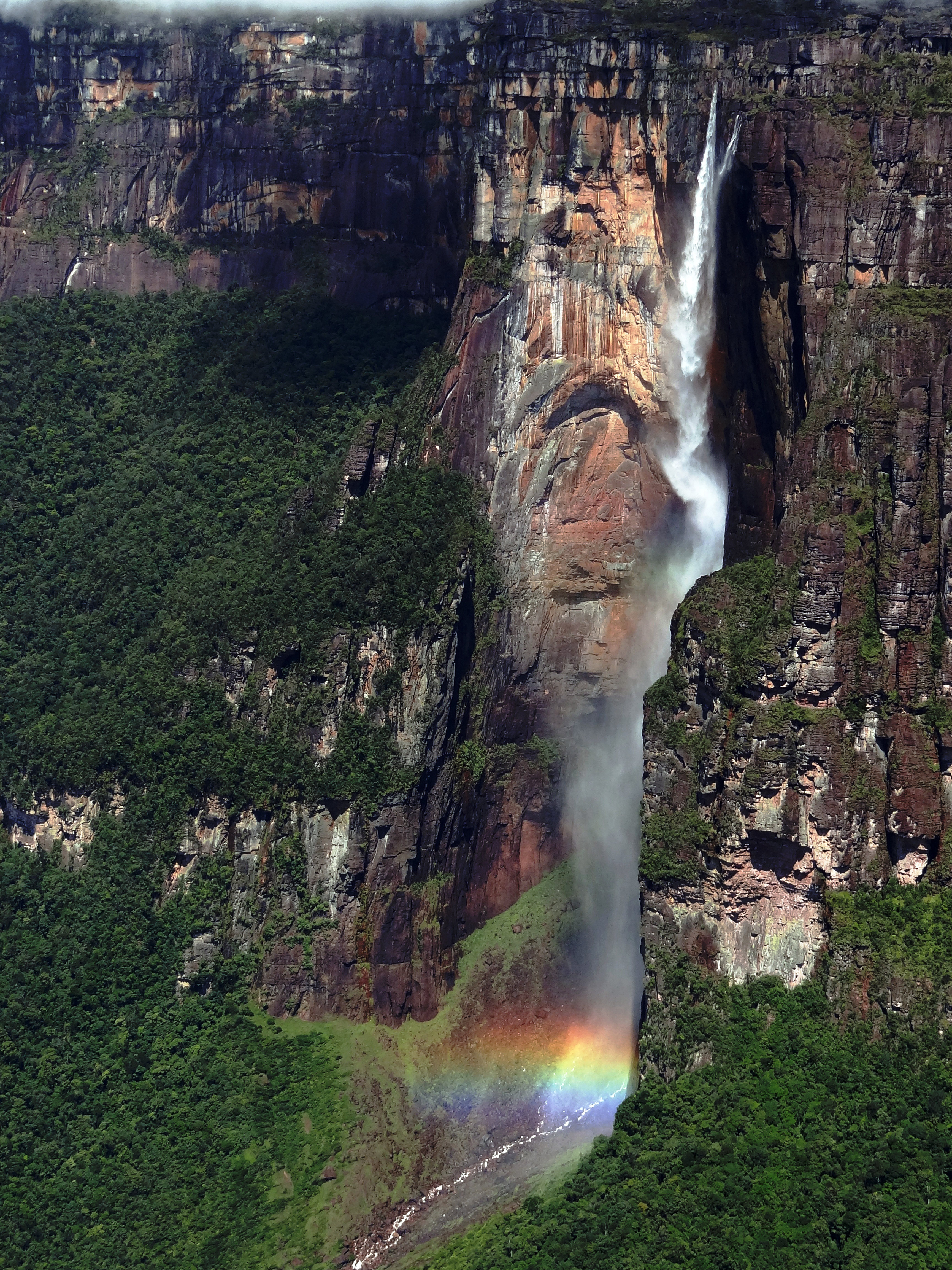 Angel falls. Водопад сальто Анхель Венесуэла. Ориноко водопад Анхель. Высокий водопад Анхель. Каракас водопад Анхель.