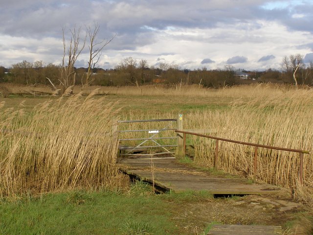 Small footbridge on the Test Way, Lower Test nature reserve - geograph.org.uk - 388878