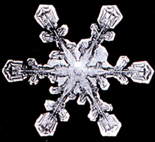 File:Snowflake6.png