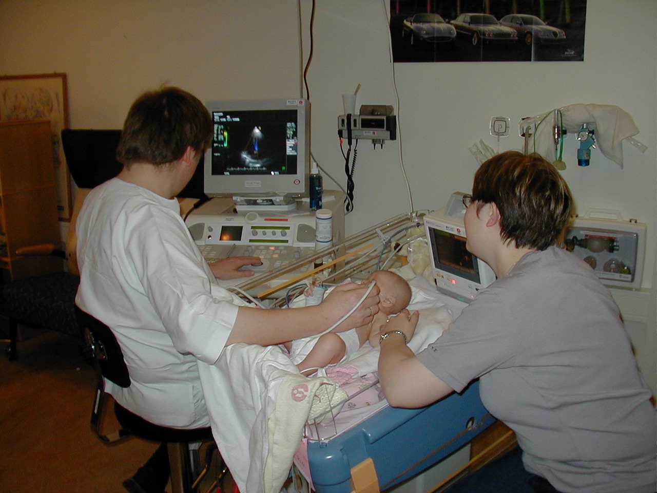 Medical ultrasound - Wikipedia