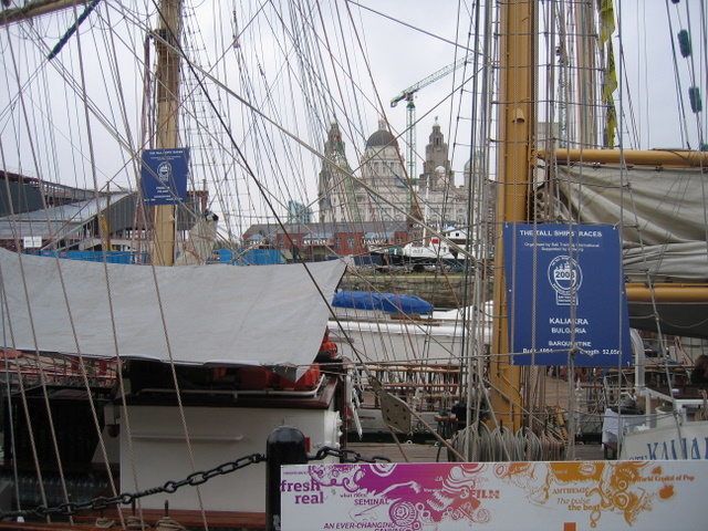 File:Tall Ships 2008 - Canning Half Tide Dock - geograph.org.uk - 1158624.jpg