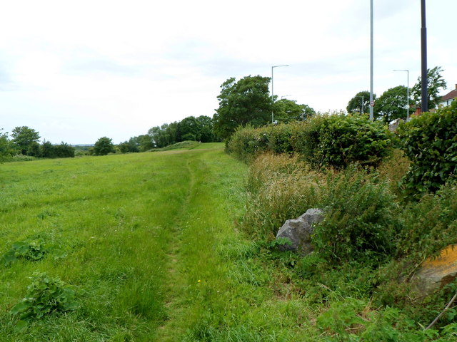 File:Track through The Daisy Field, Lamplighters Marsh, Shirehampton, Bristol (geograph 3290633).jpg