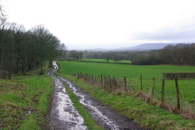 File:Track to Sparrwood Farm - geograph.org.uk - 335436.jpg