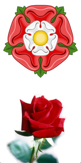 File:Rose flower.svg - Wikipedia