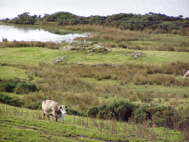 File:Tulach An T-Sionnaich Chambered Cairn from roadside - geograph.org.uk - 914951.jpg