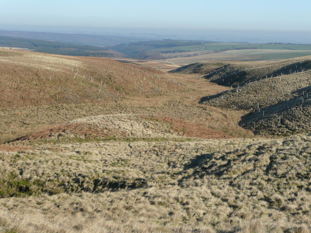 File:View north of Woolly Hill - geograph.org.uk - 696022.jpg