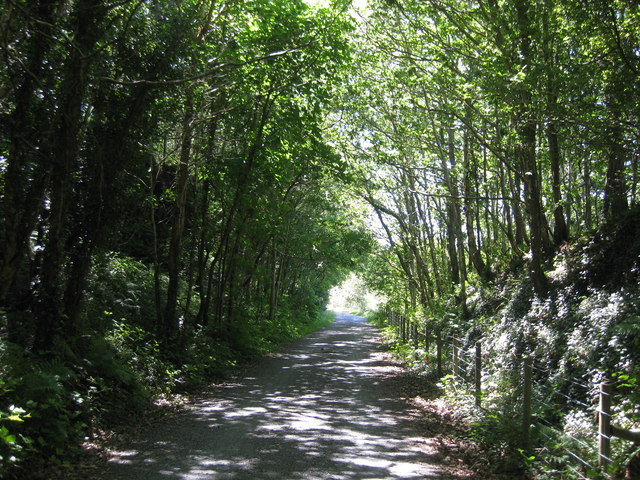 Wooded stretch of the Mawddach Cycle Trail - geograph.org.uk - 1374220
