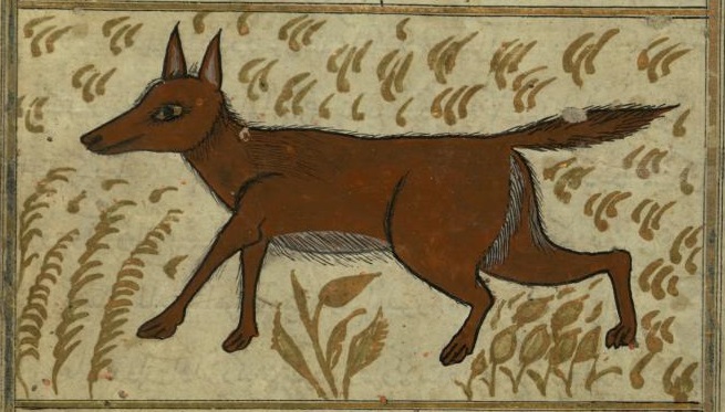 File:Zakariya ibn Muhammad Qazwini - A Wolf.jpg