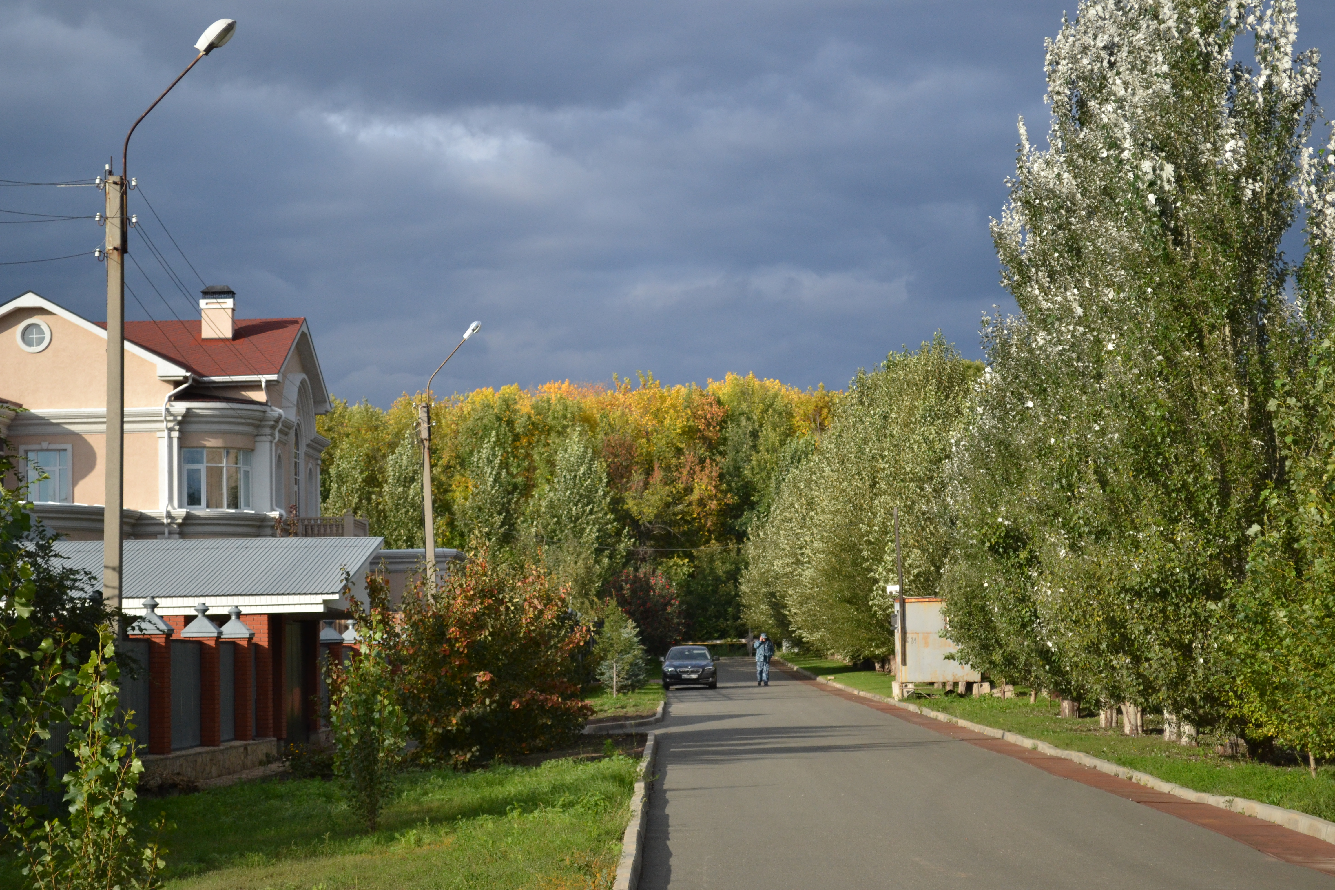 Ростоши улица Лазурная. Ростоши Воронежская область. Юбилейный Ростоши Оренбург. Памятник Николаеву Ростоши в Оренбурге.