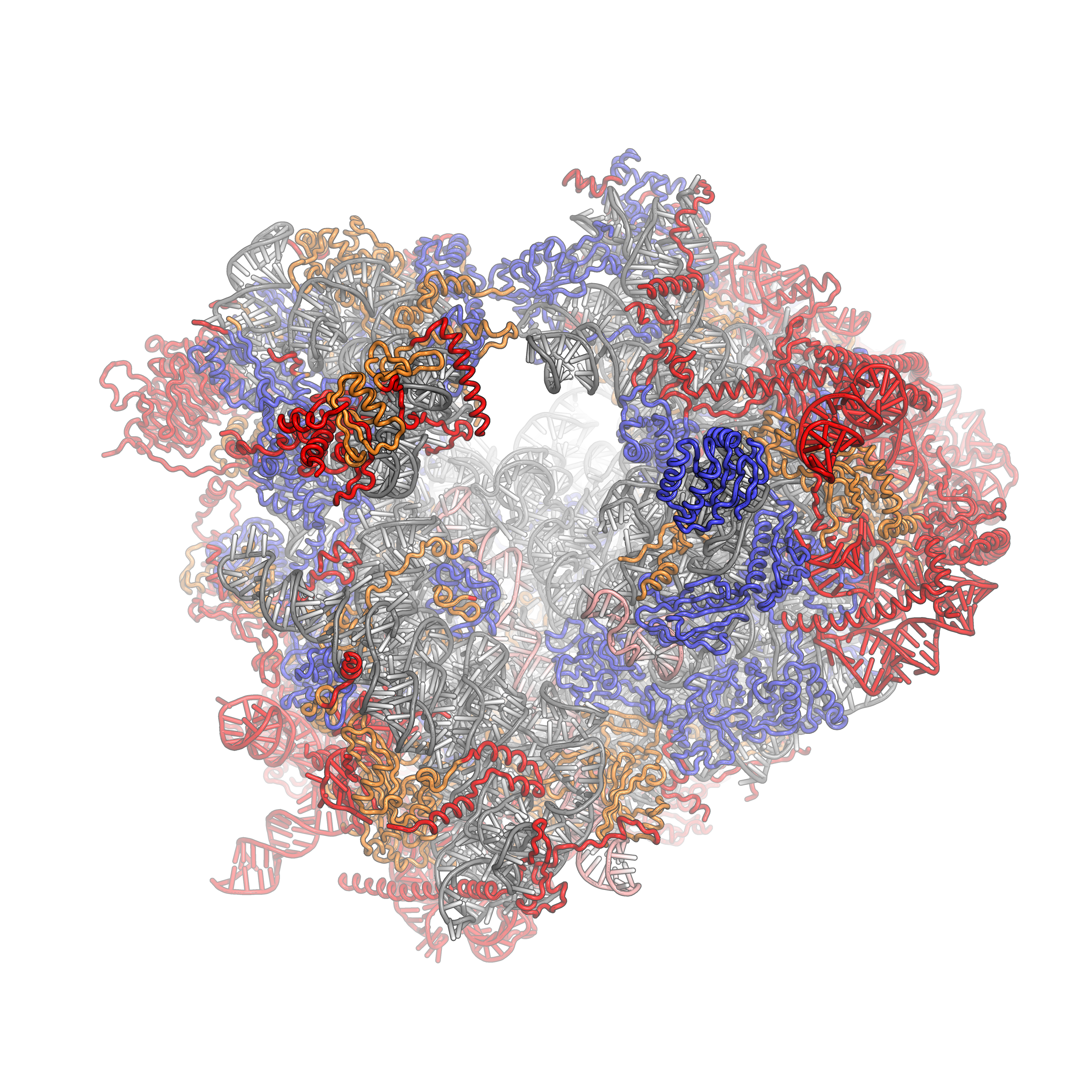 Eukaryotic Ribosome Wikipedia
