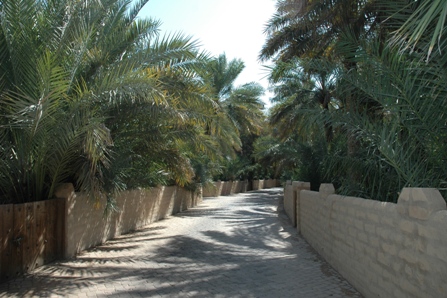 Alley in Al Ain Oasis.JPG