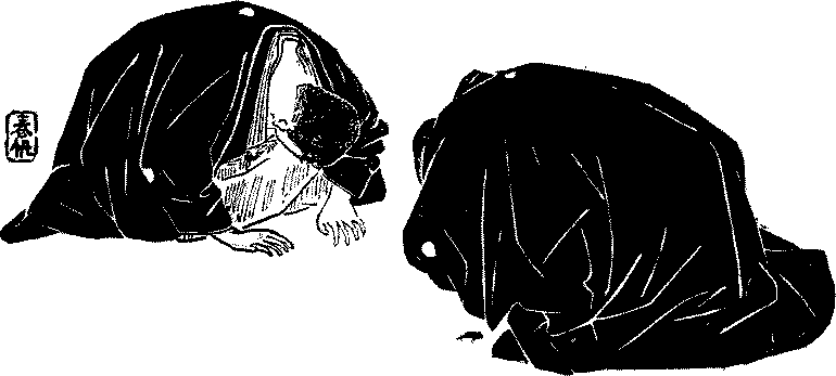 SCP-049 VS SCP-682, Wiki