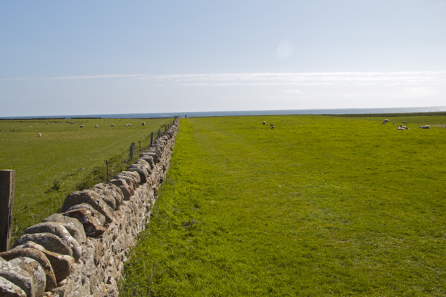 File:Boundary Stone Field Wall on Bible Law Holy Island - geograph.org.uk - 2780557.jpg