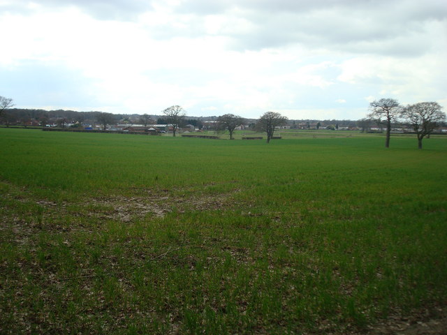 Bromley Common