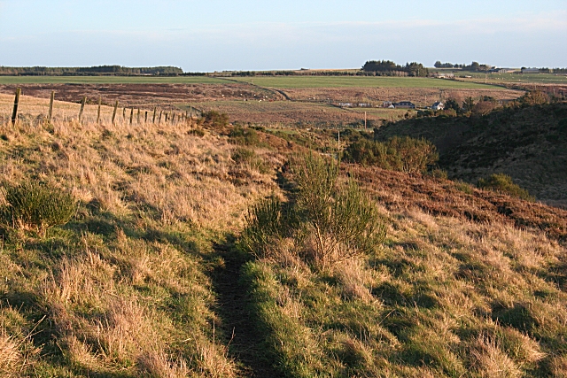 File:Burn of Fernking - geograph.org.uk - 314312.jpg