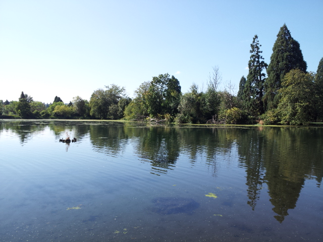 File:Crystal Springs Rhododendron Garden, Portland (2012).jpg