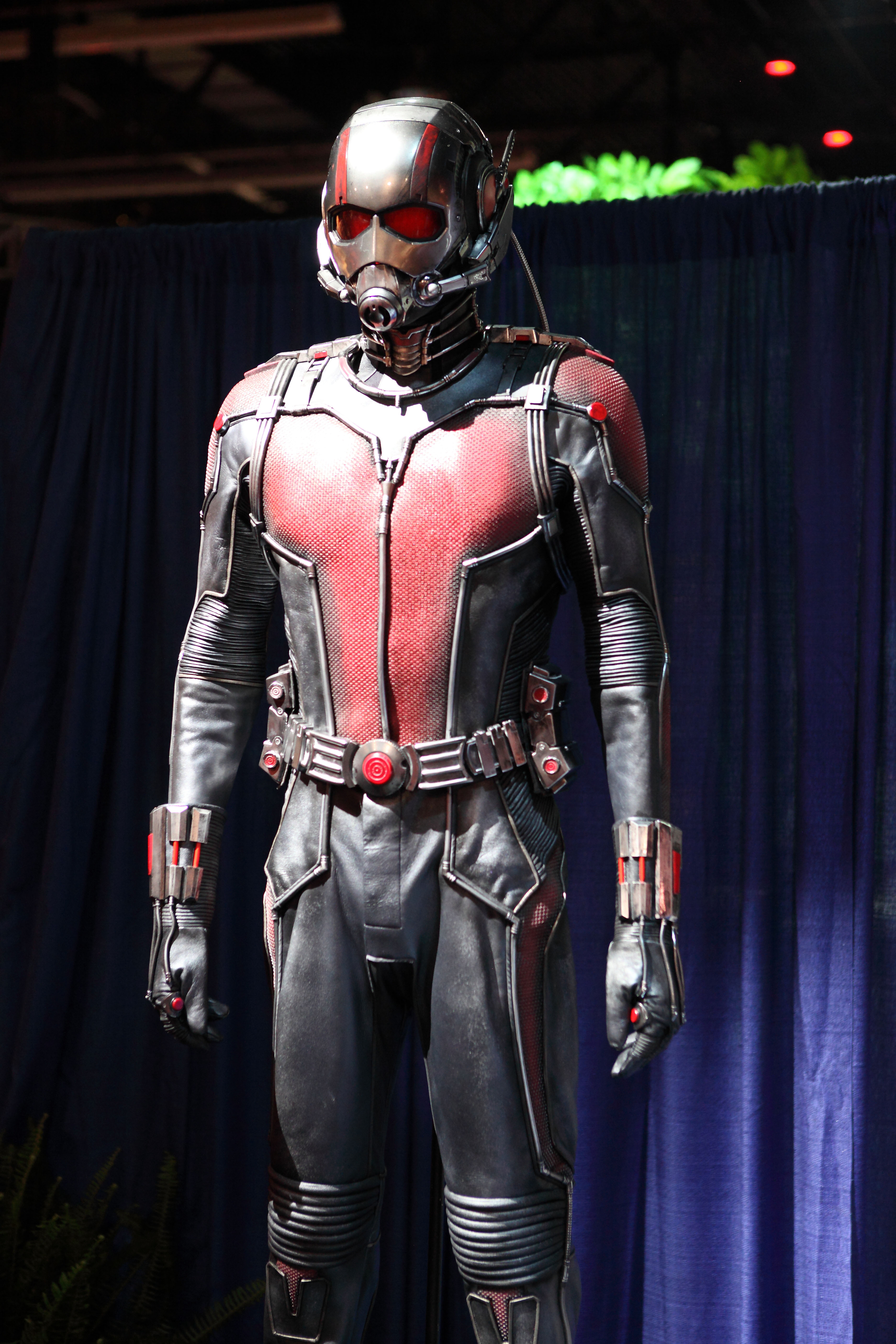 File:D23 Expo 2015 Ant-Man (1).jpg - Wikimedia Commons