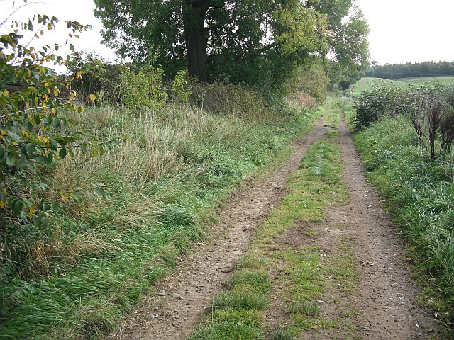 File:Dere Street - geograph.org.uk - 1532102.jpg