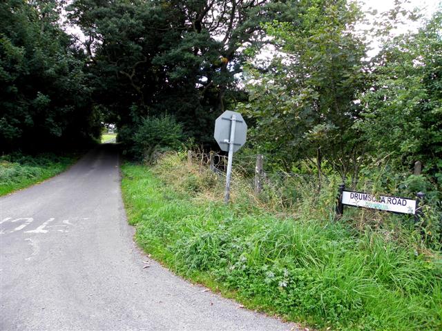 File:Country road, Drumad, Co. Cavan - geograph.org.uk - 863667