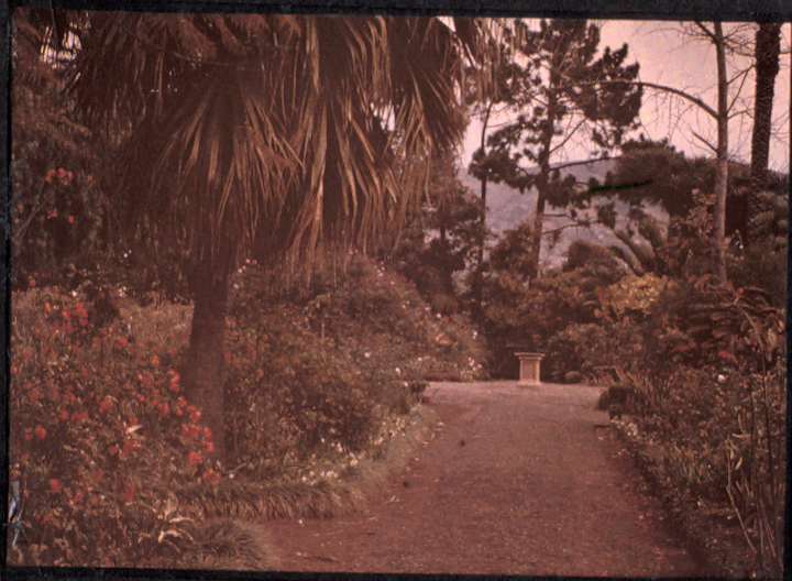 File:Garden in Madeira, by Sarah Angelina Acland, c.1910 (6).jpg