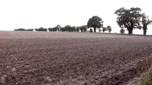 File:Harvested field by Staithe Farm - geograph.org.uk - 4671686.jpg