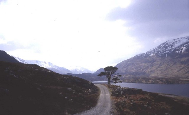 File:Head of Loch Affric - geograph.org.uk - 472853.jpg