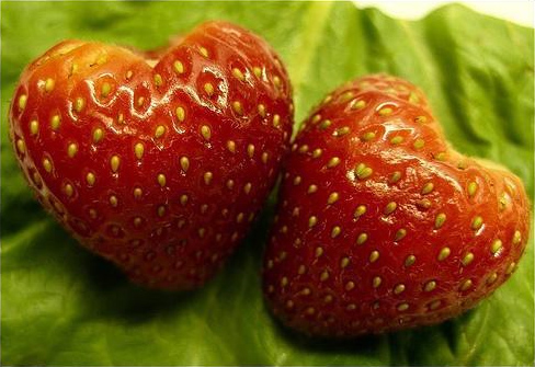 File:Heart-shaped strawberries.jpg