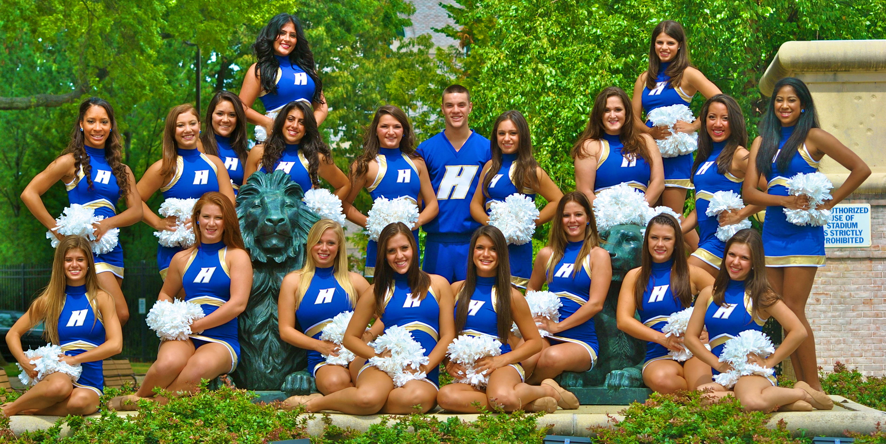 Dance universities. Hofstra University. Тюльпан Hofstra University. Hofstra University ranking. University Dancers.