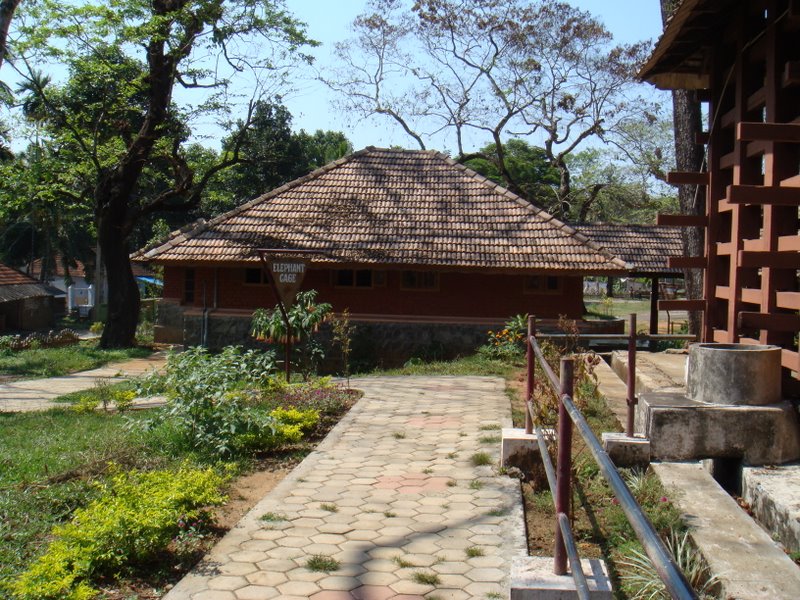 File:Konni Elephant training centre Cage01.jpg