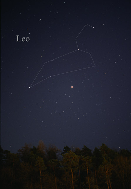 Leo Wikidata