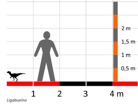 <i>Ligabueino</i> Extinct genus of dinosaurs