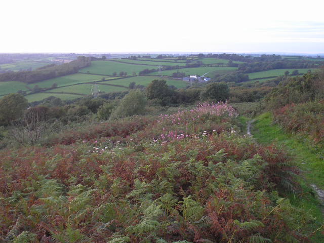 File:Looking toward Carmarthen from path 11-18 Mynydd y Garreg - geograph.org.uk - 864818.jpg