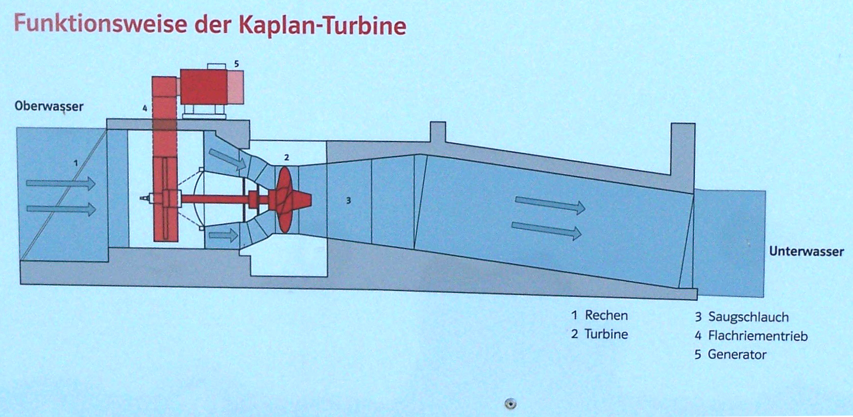 Kaplan Turbines