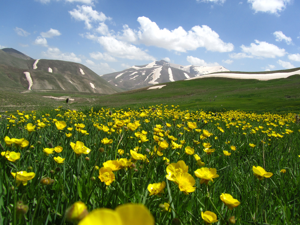 Mountainside_of_Sahand.jpg