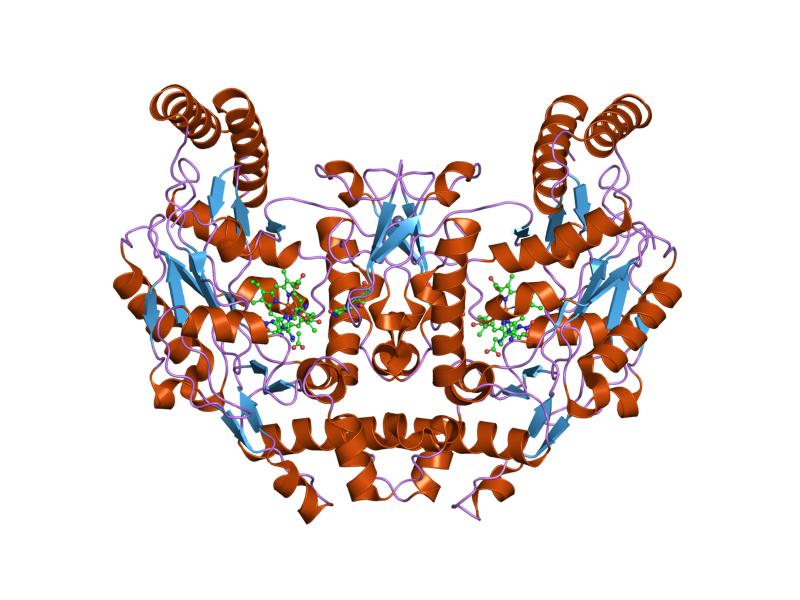 File:PDB 2hx3 EBI.jpg