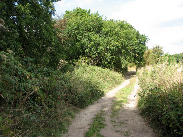 File:Path to Somerleyton Marina - geograph.org.uk - 1506099.jpg