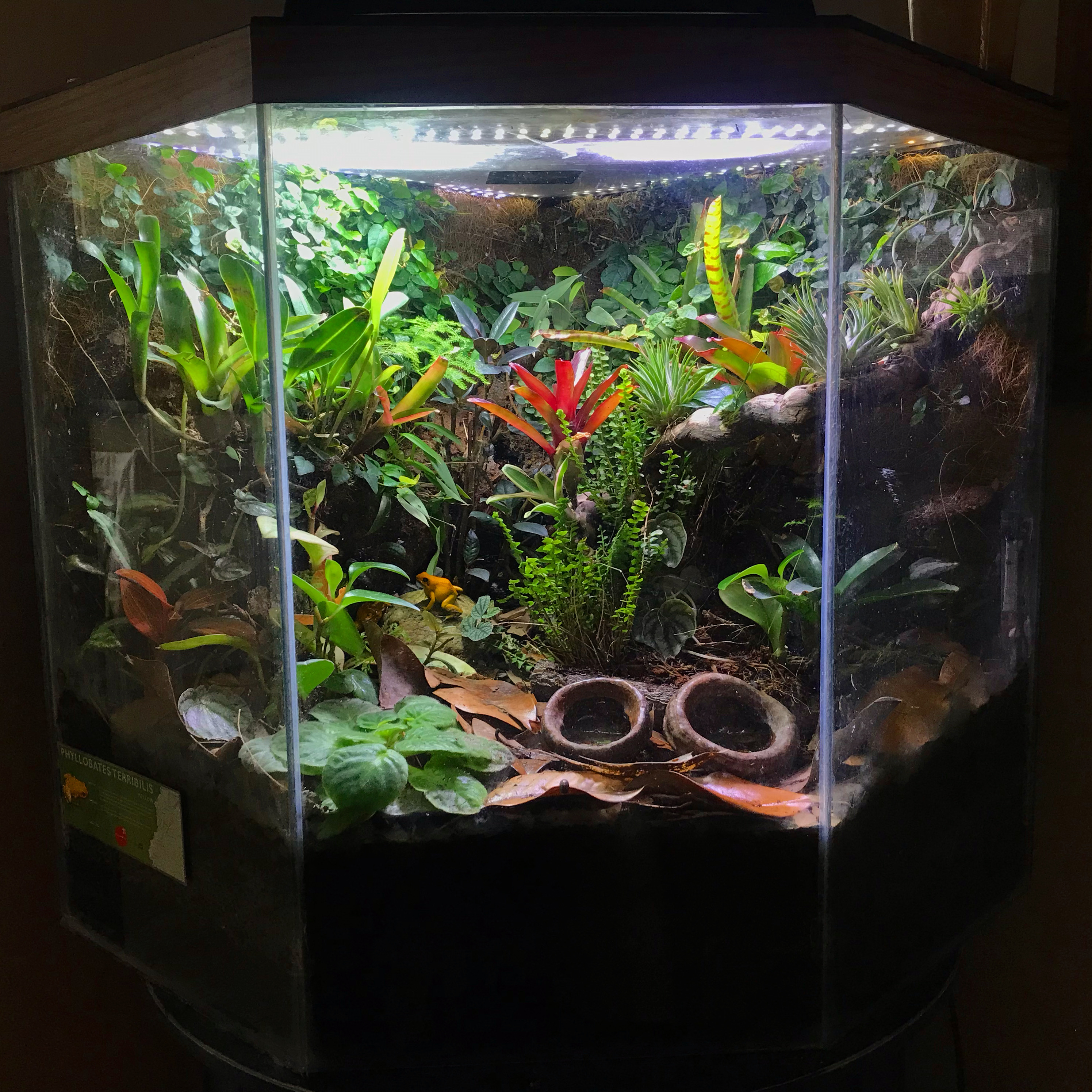 We have more botanical items for your aquarium and vivarium tank very low  price